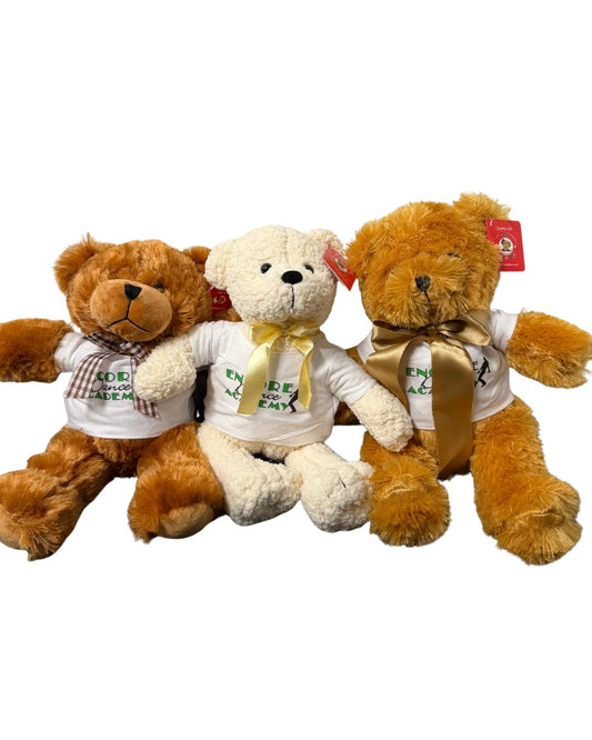 Large T-Shirt Bear (Assorted)
