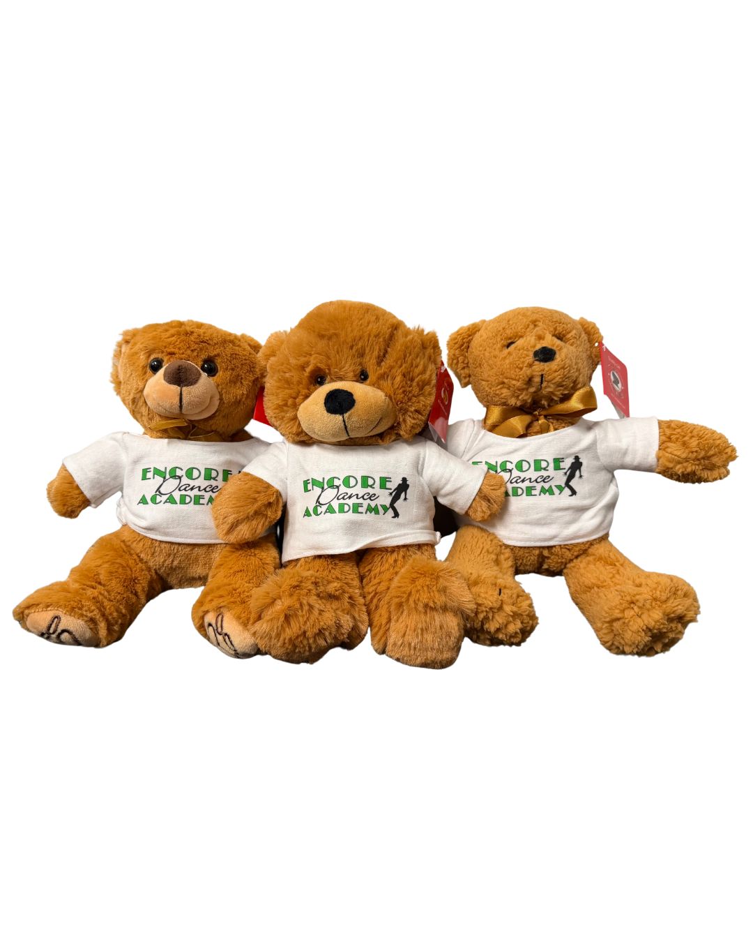 Small T-Shirt Bear (Assorted)